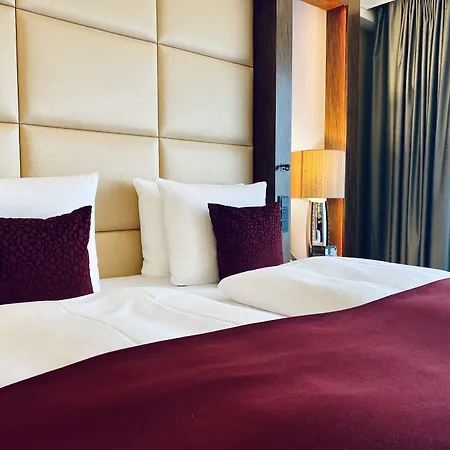 柏林皇宫饭店 5* 柏林